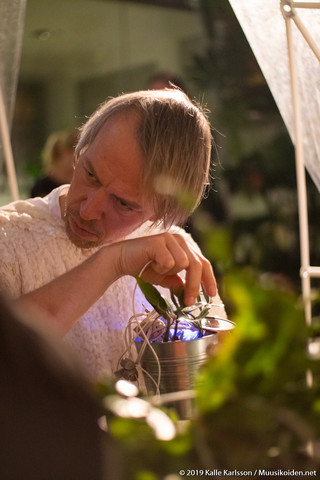 Fern Orchestra Fern Orchestra